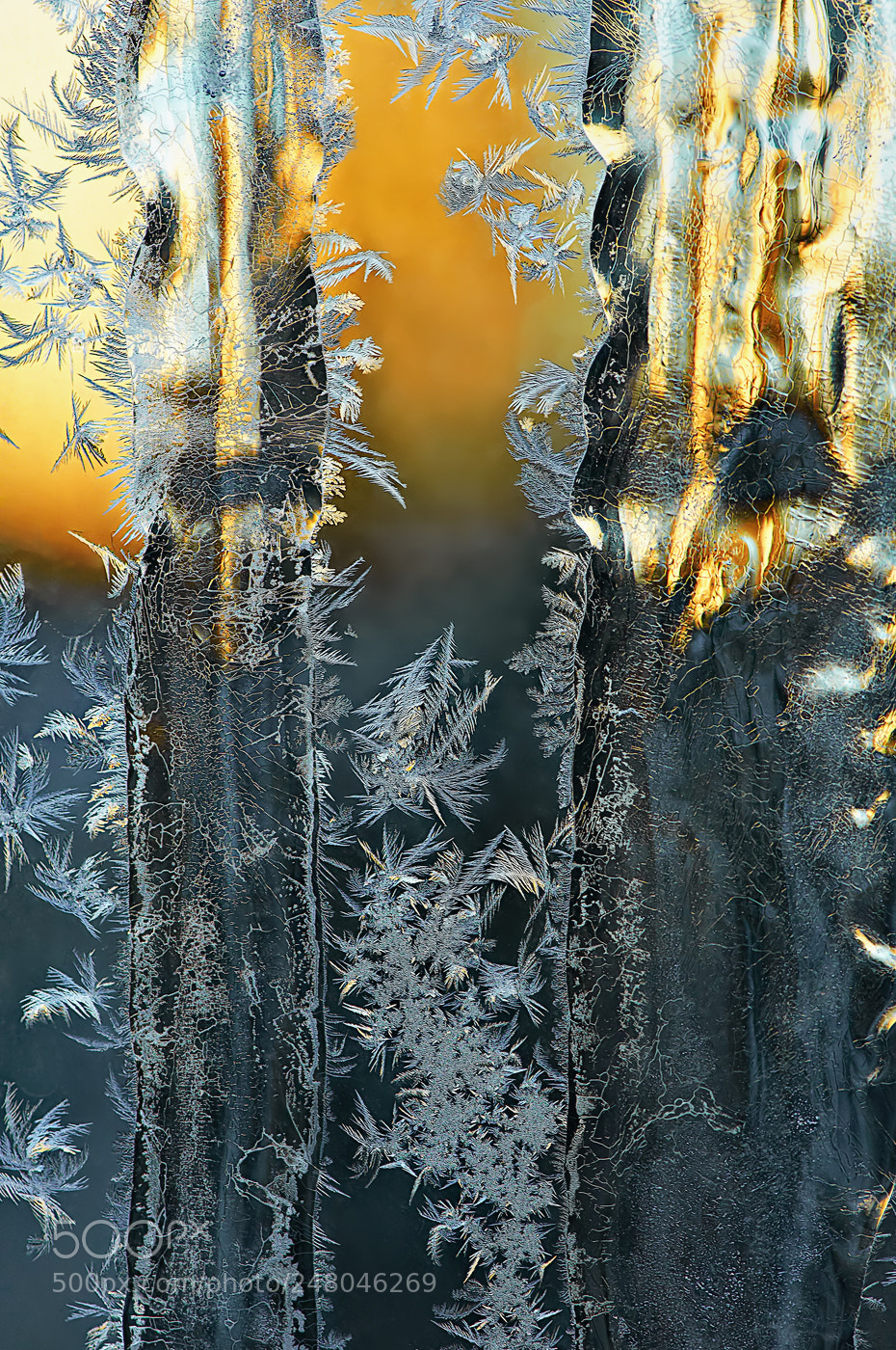 Nikon D300 sample photo. Frosted patterns on the photography