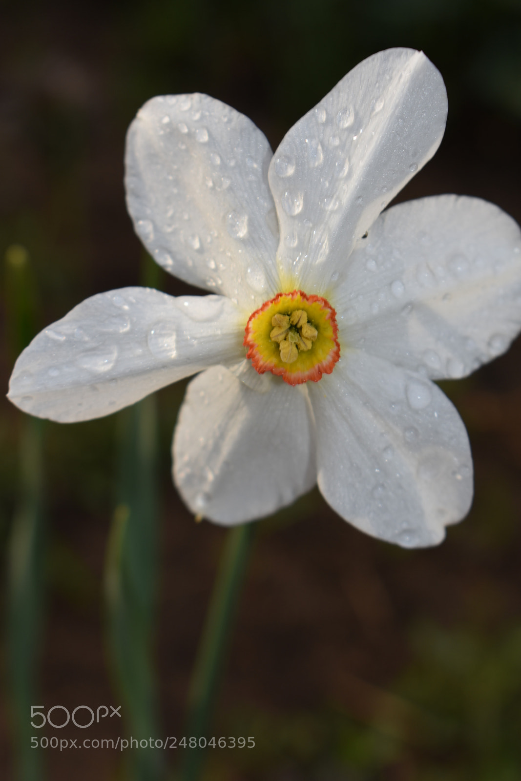 Nikon D3400 sample photo. Untitled photography