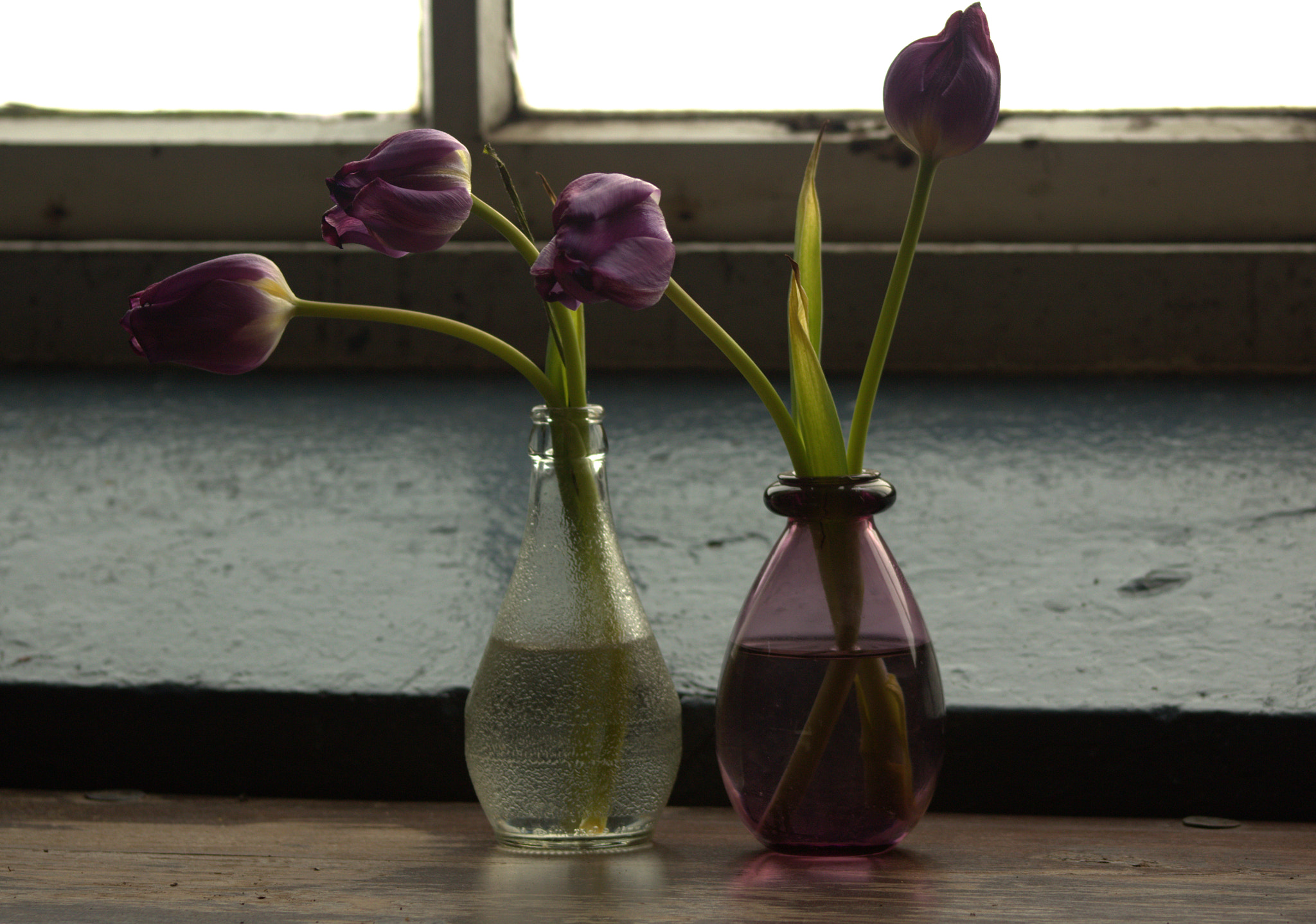 Canon EF 75-300mm f/4-5.6 sample photo. Img photography