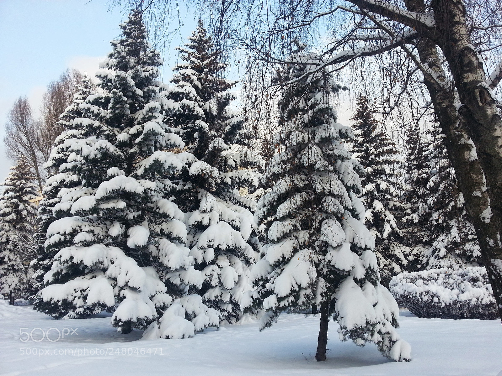 Samsung Galaxy S3 sample photo. Минск photography
