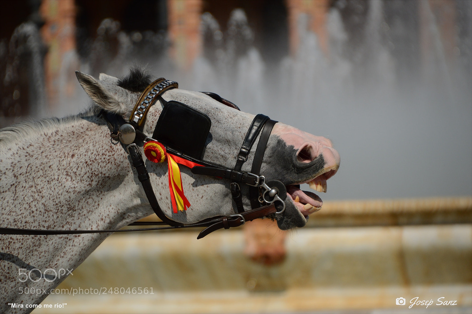Nikon D3200 sample photo. Mira como me r photography