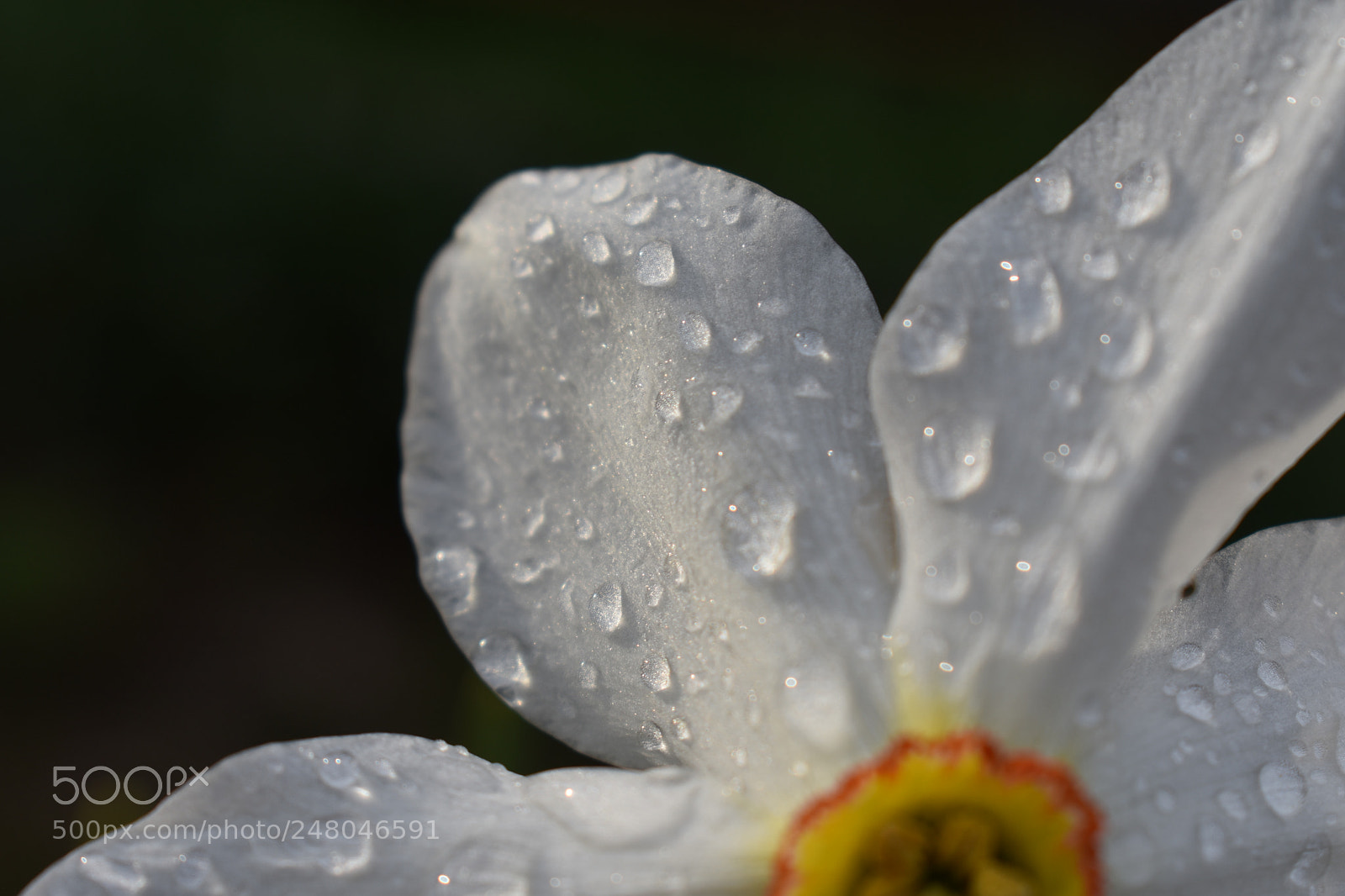 Nikon D3400 sample photo. Untitled photography