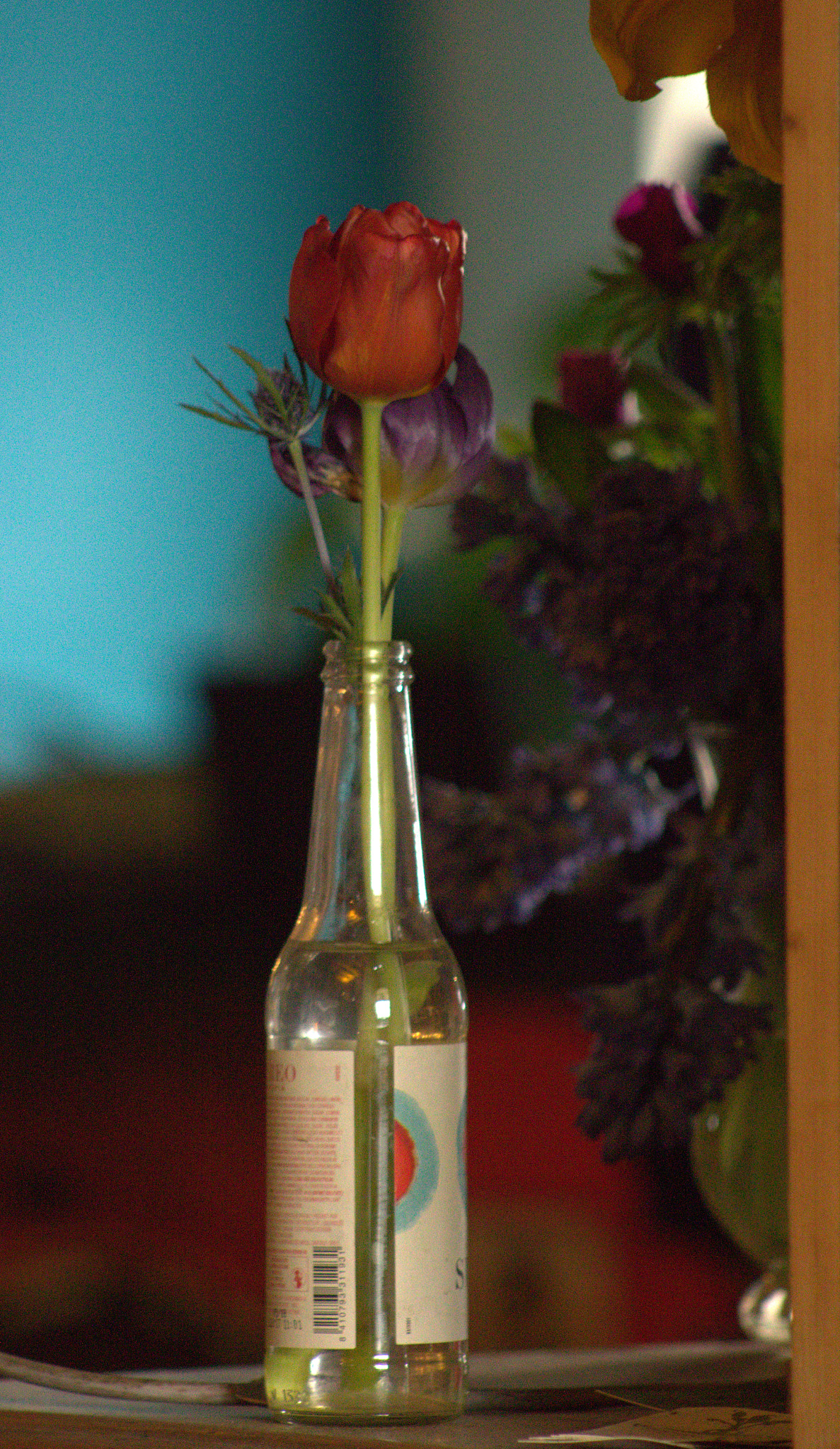 Canon EF 75-300mm f/4-5.6 sample photo. Img photography