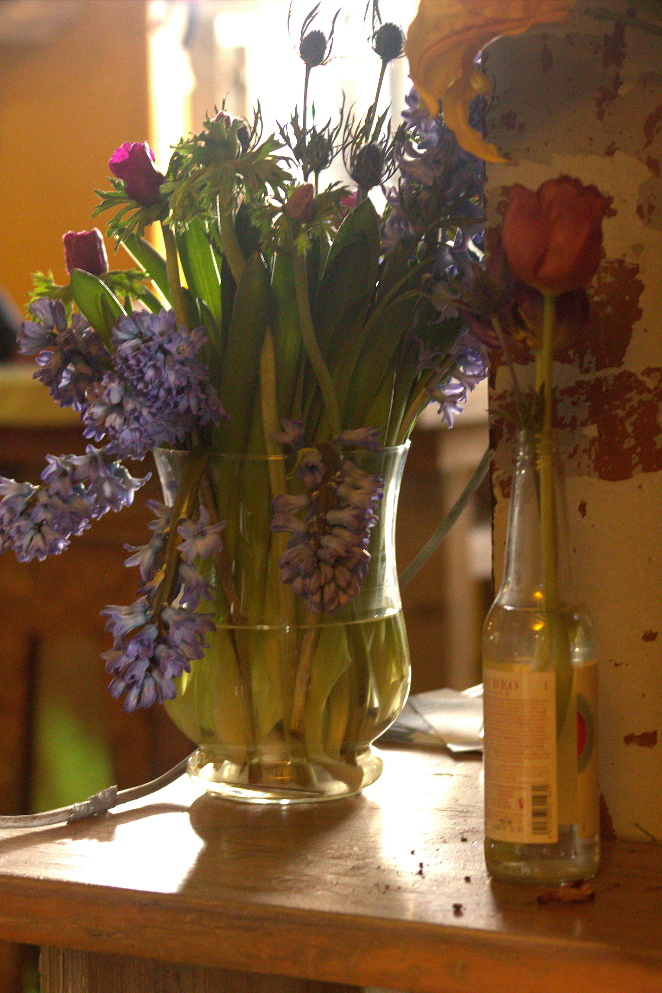 Canon EF 75-300mm f/4-5.6 sample photo. Img photography