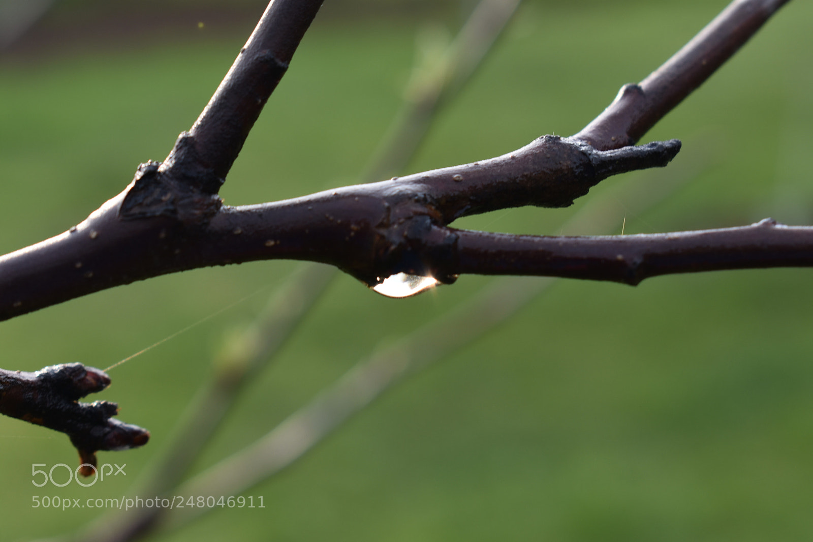 Nikon D3400 sample photo. Untitled photography