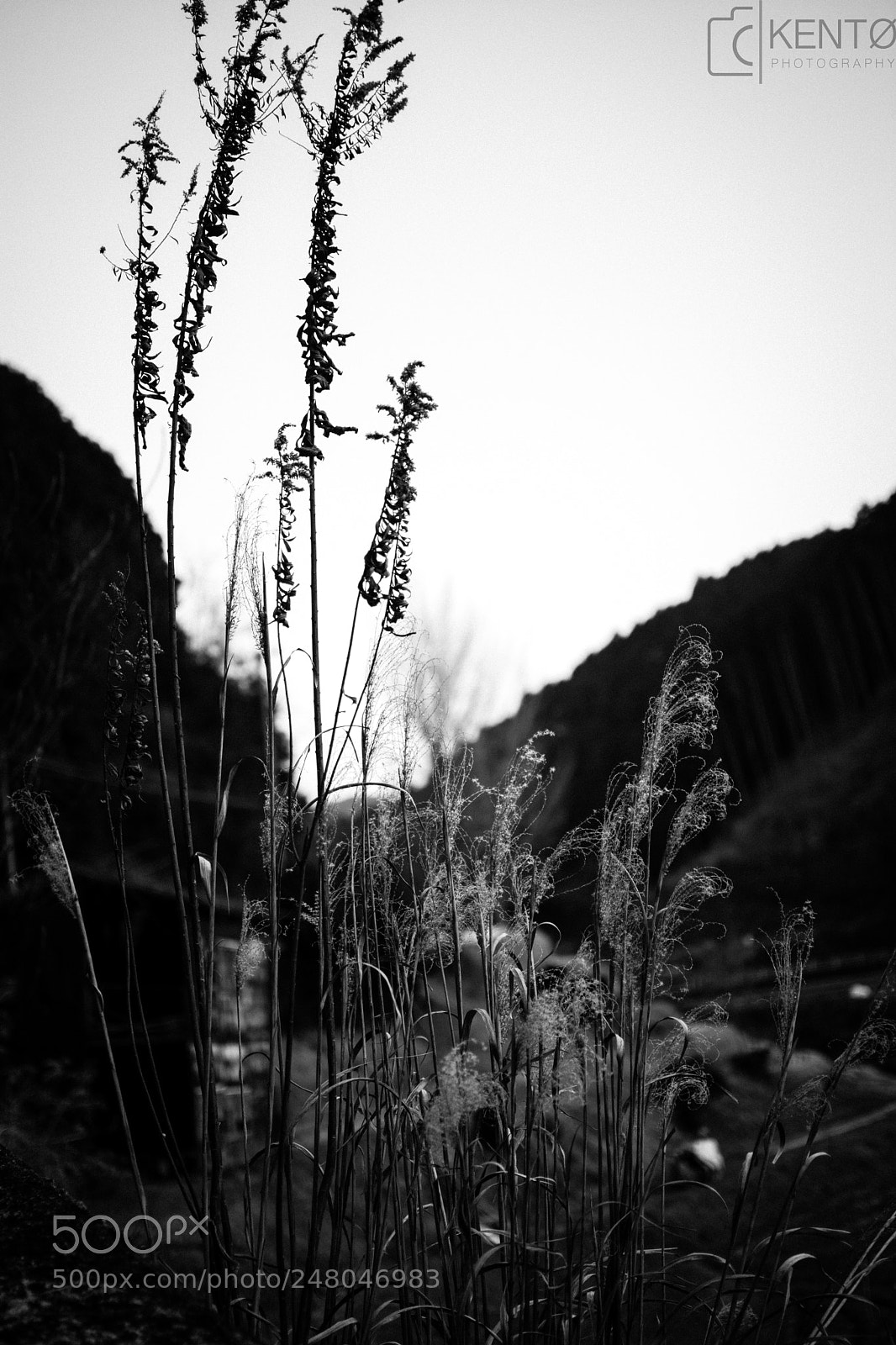Nikon D7100 sample photo. Dawn. photography