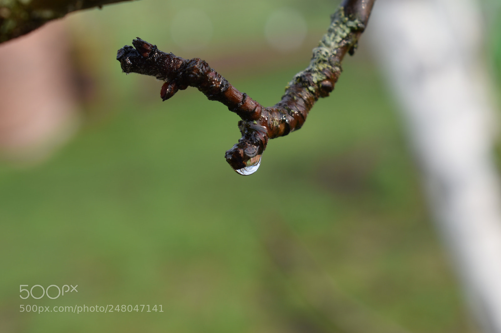 Nikon D3400 sample photo. Untitled photography