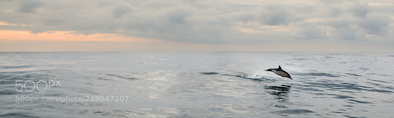 Nikon D7100 sample photo. Croisiere irlande photography