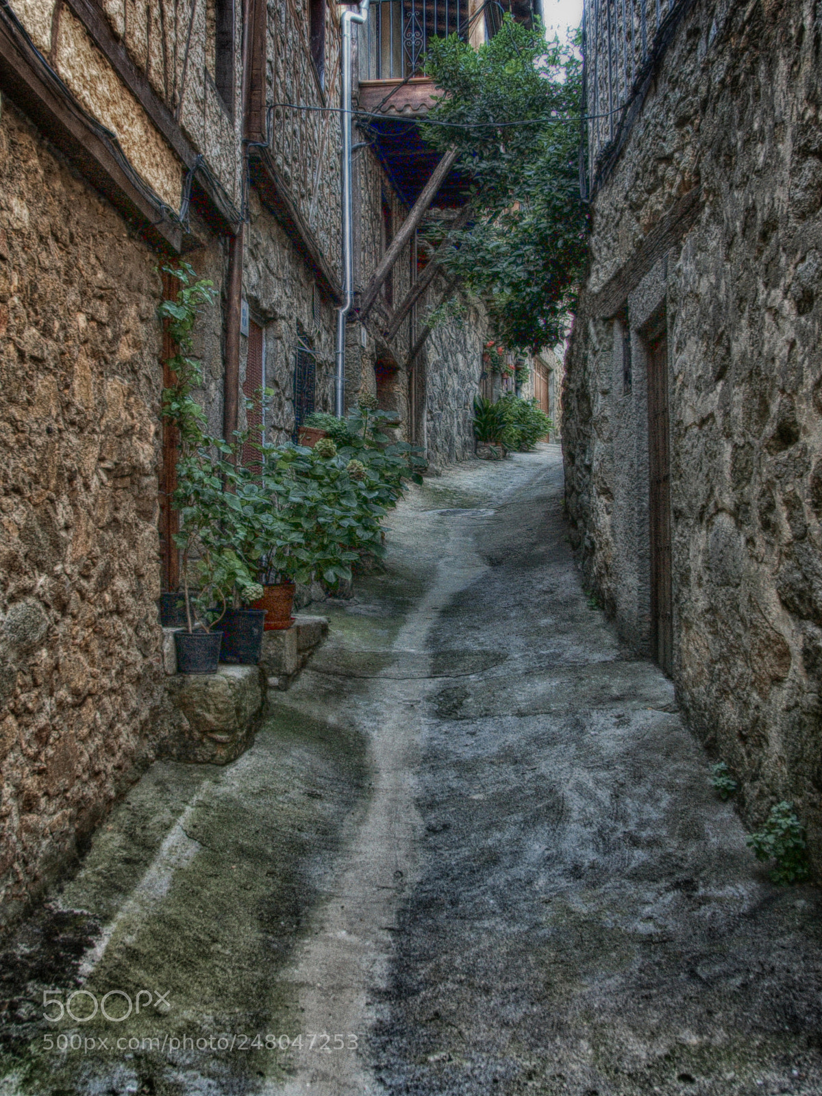 Olympus E-3 sample photo. Calle. la alberca salamanca photography