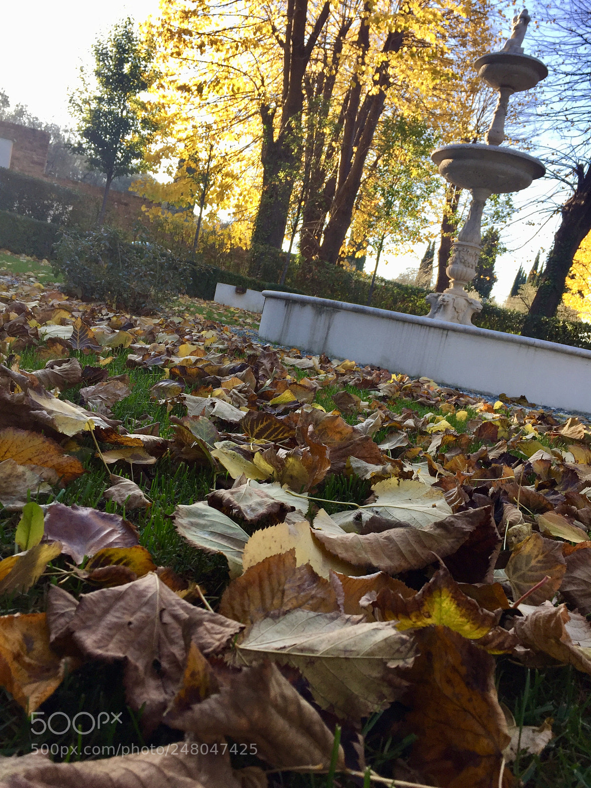 Apple iPhone 6 sample photo. Untitled photography