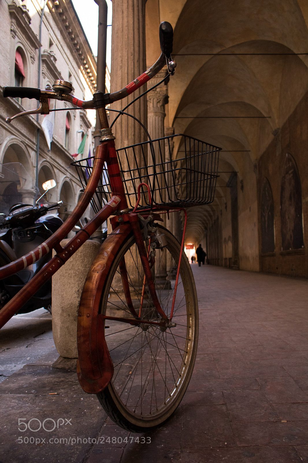 Canon EOS 760D (EOS Rebel T6s / EOS 8000D) sample photo. Riding bologna photography