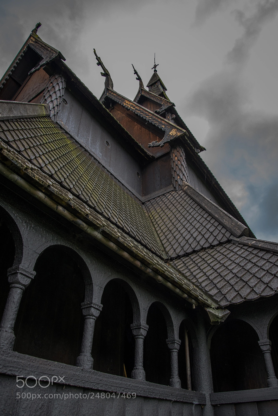 Nikon D610 sample photo. Untitled photography