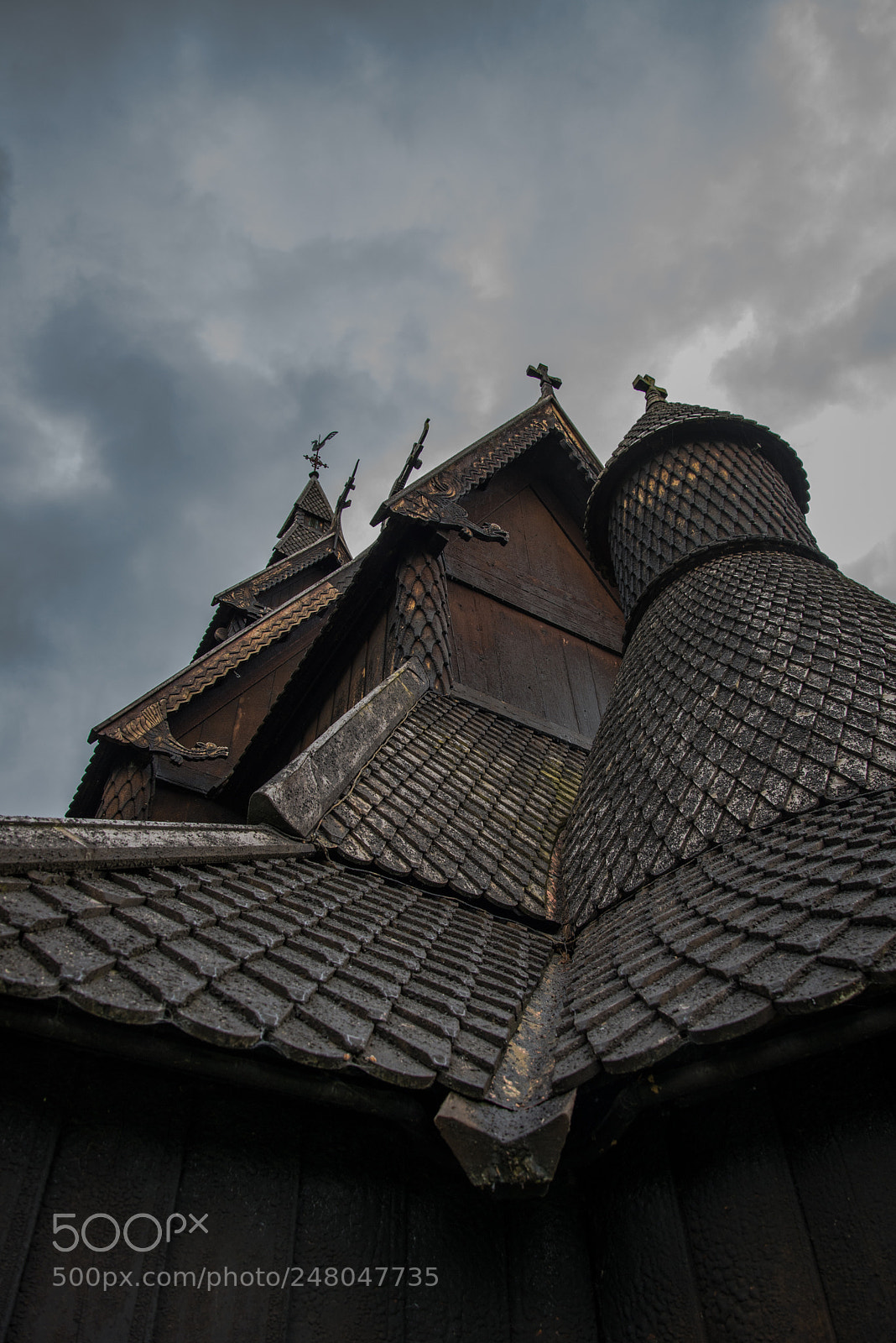 Nikon D610 sample photo. Untitled photography