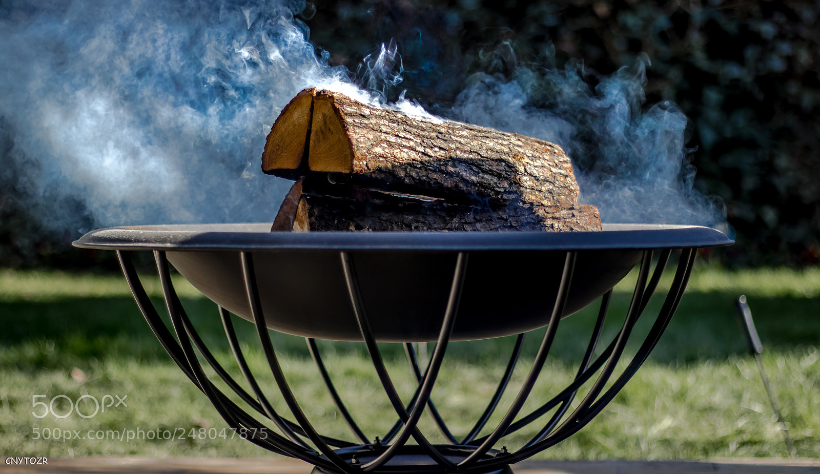 Canon EOS 800D (EOS Rebel T7i / EOS Kiss X9i) sample photo. Wood photography
