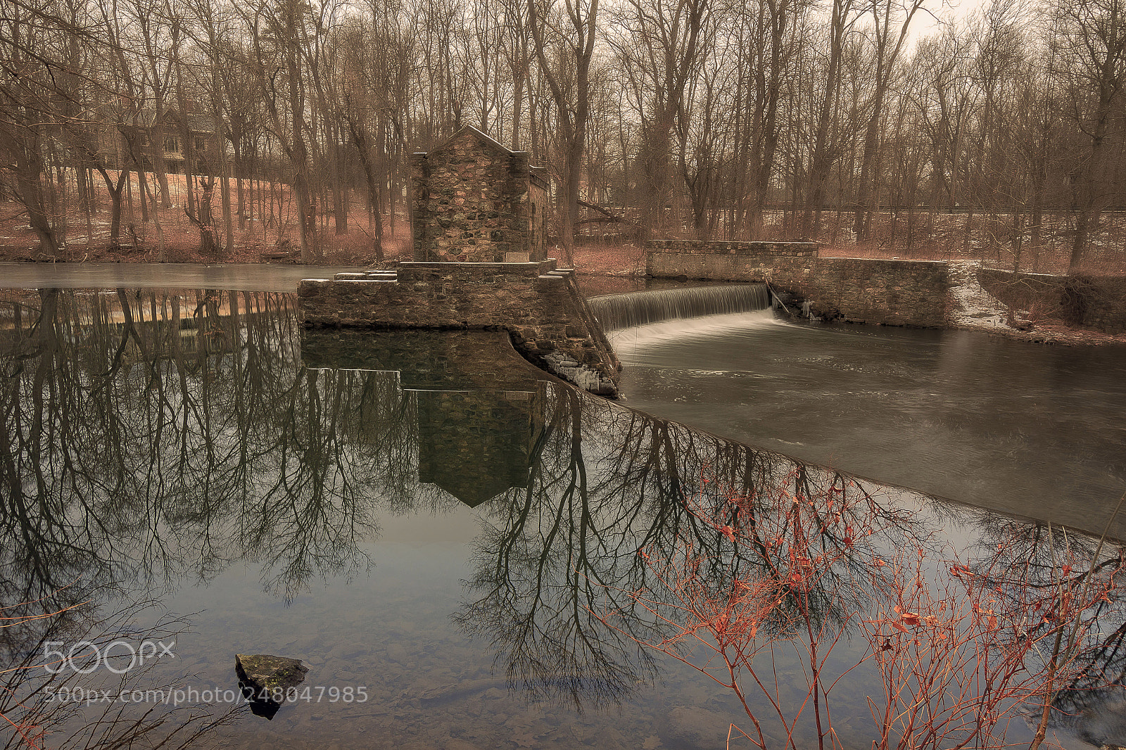 Canon EOS 7D Mark II sample photo. Branches photography