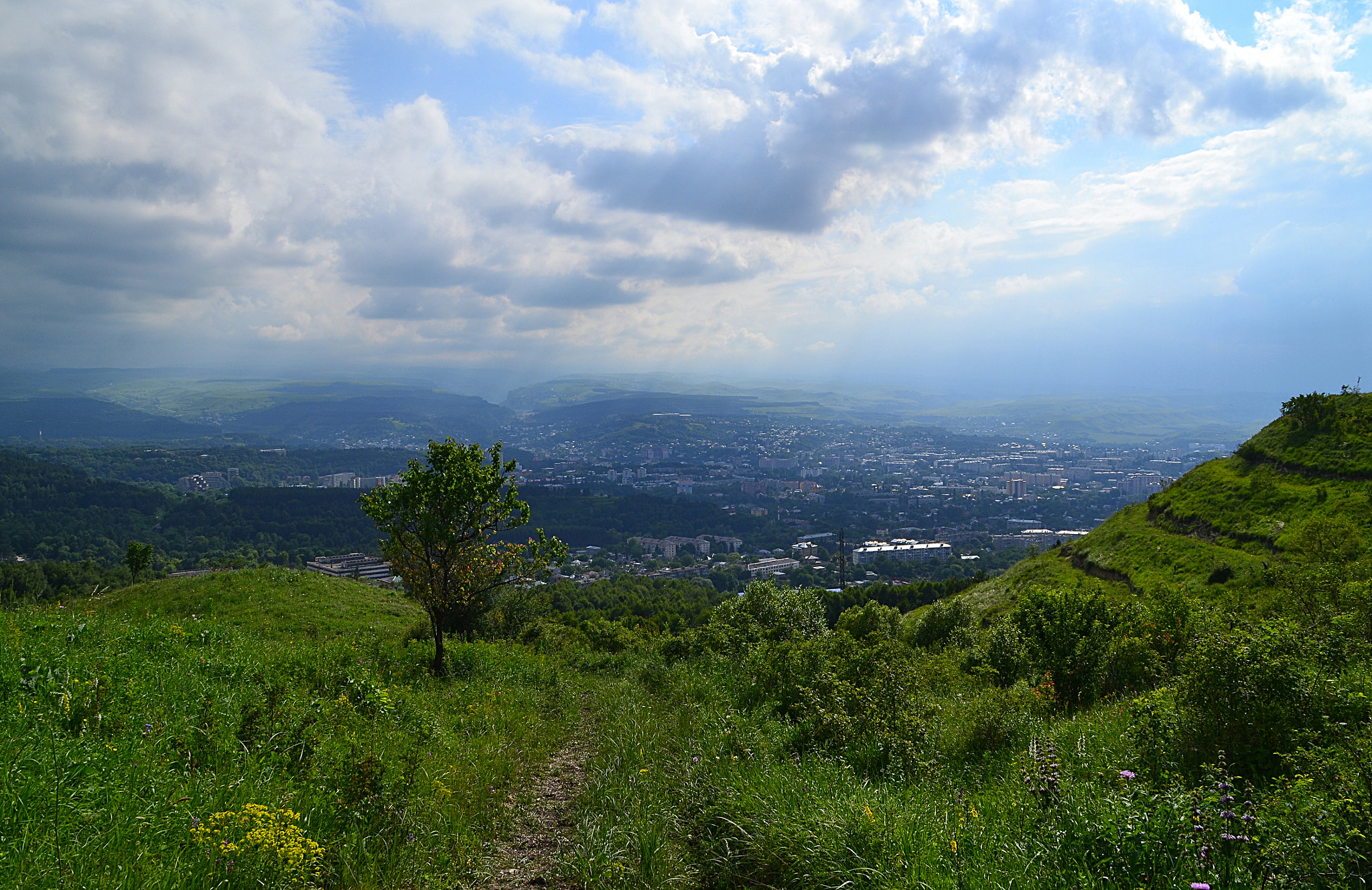 Nikon D3100 sample photo. Gnawed slope photography