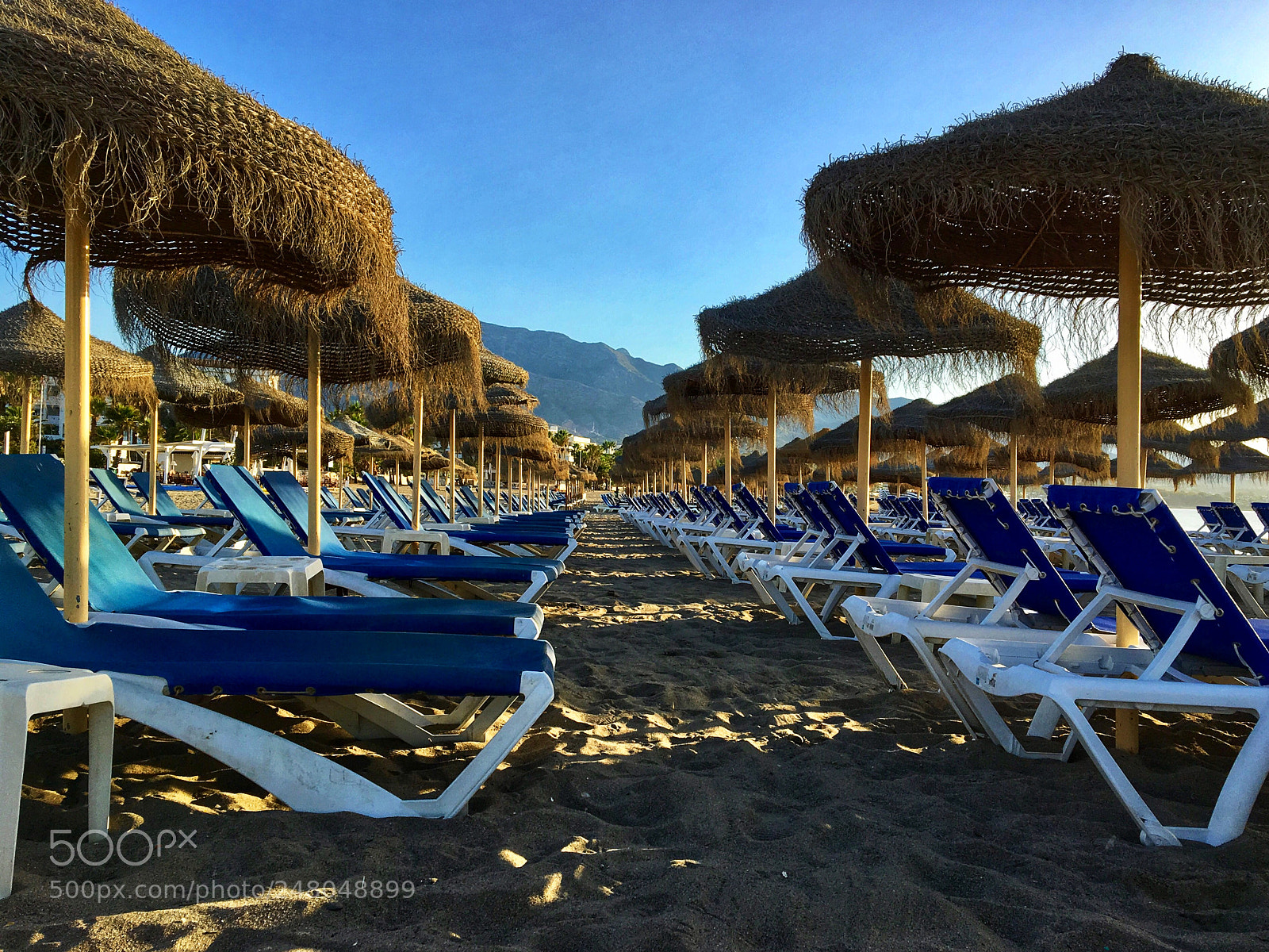 Apple iPhone 6s sample photo. Waiting for summer photography