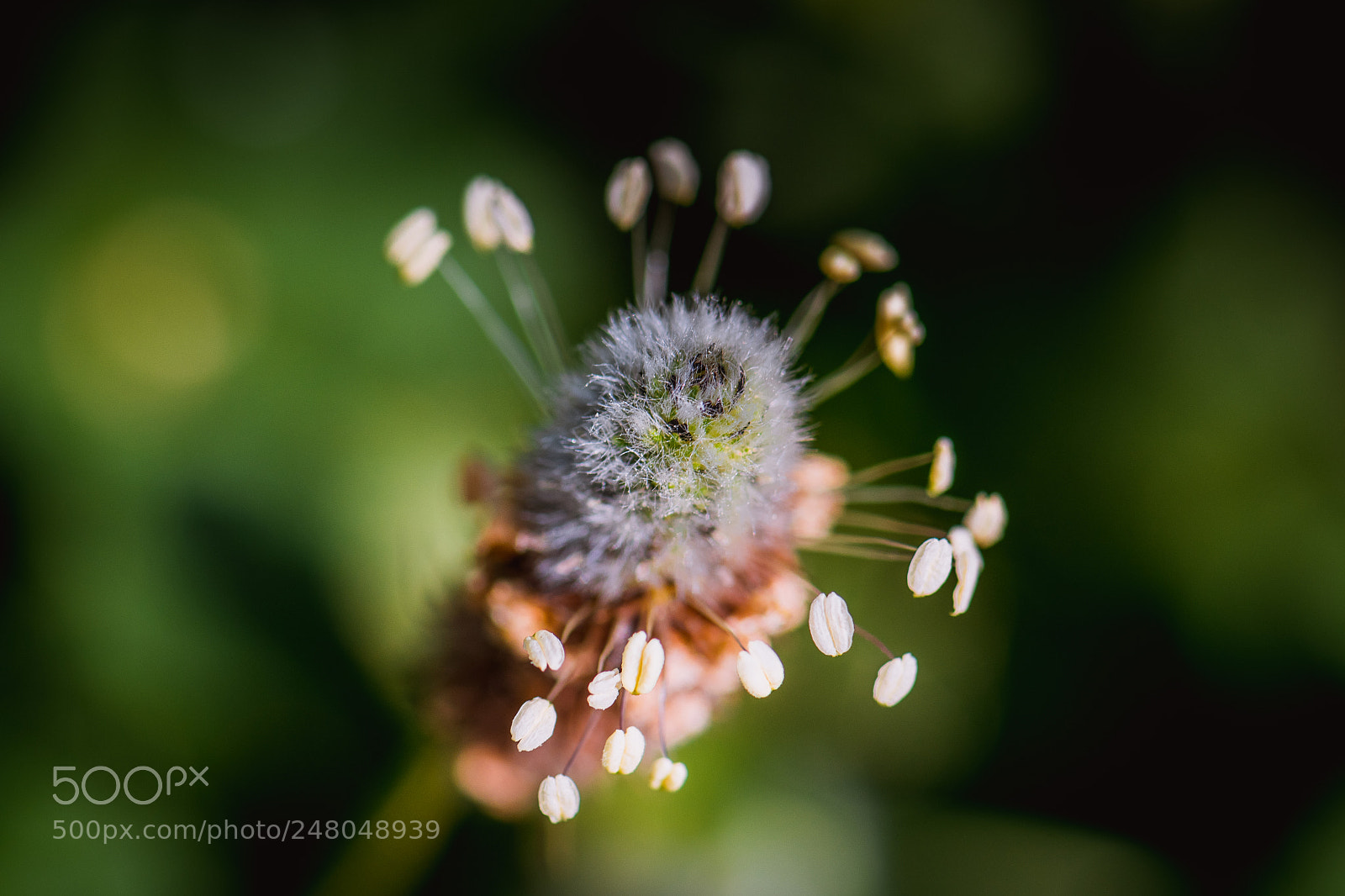 Nikon D500 sample photo. Nature photography
