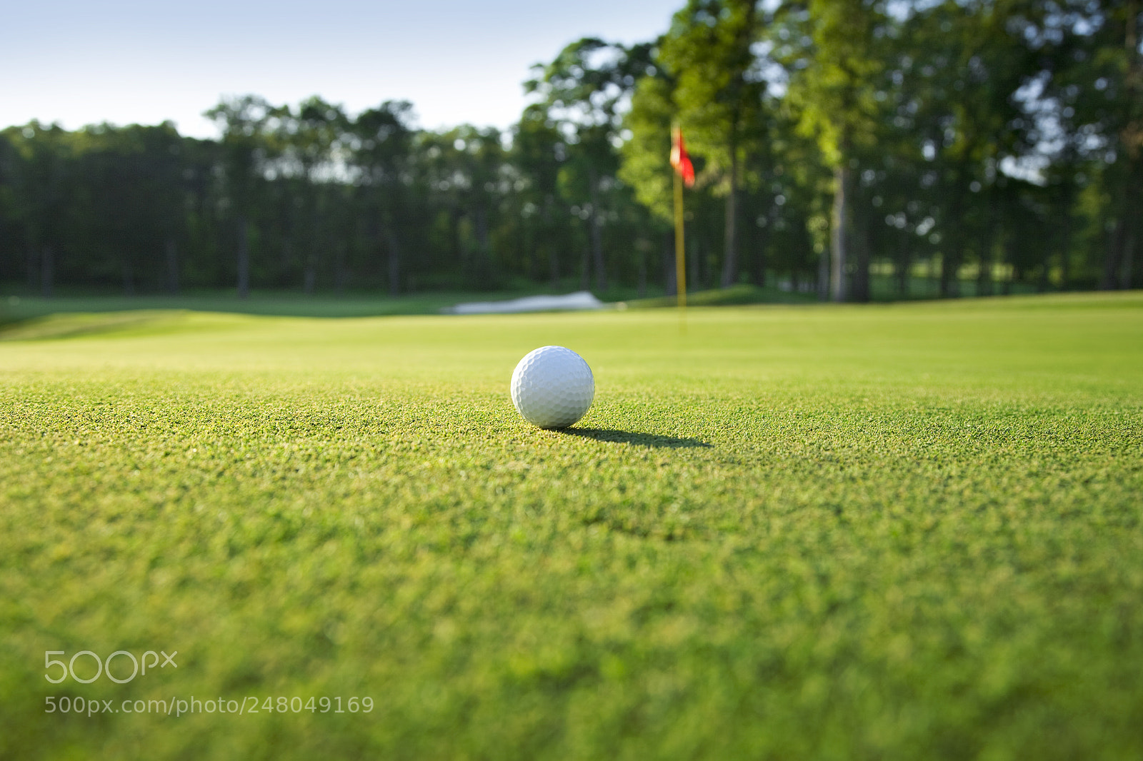 Canon EOS 5D sample photo. Close up of golf photography