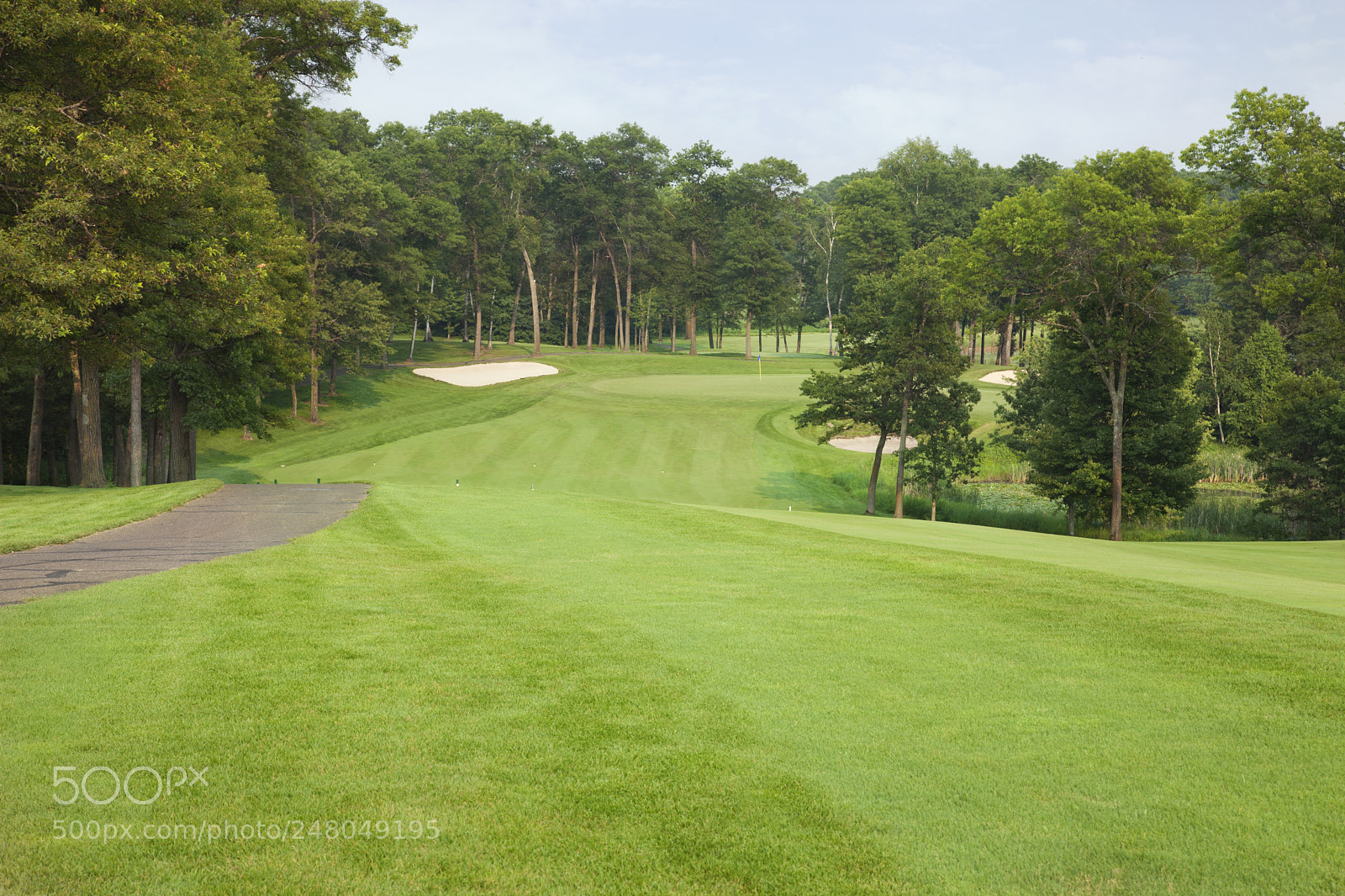 Canon EOS 5D Mark II sample photo. Golf fairway lined with photography