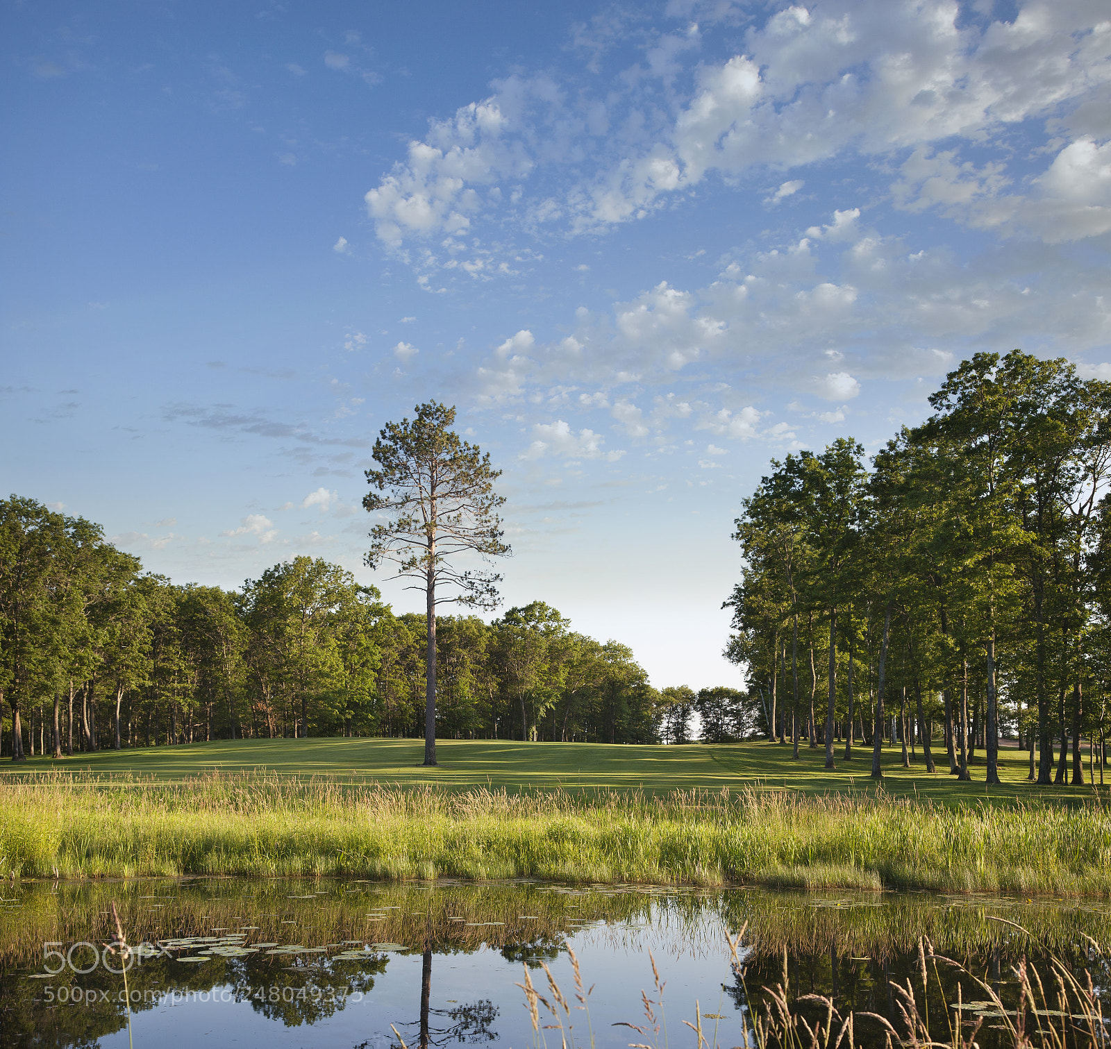 Canon EOS 5D sample photo. Golf course fairway with photography