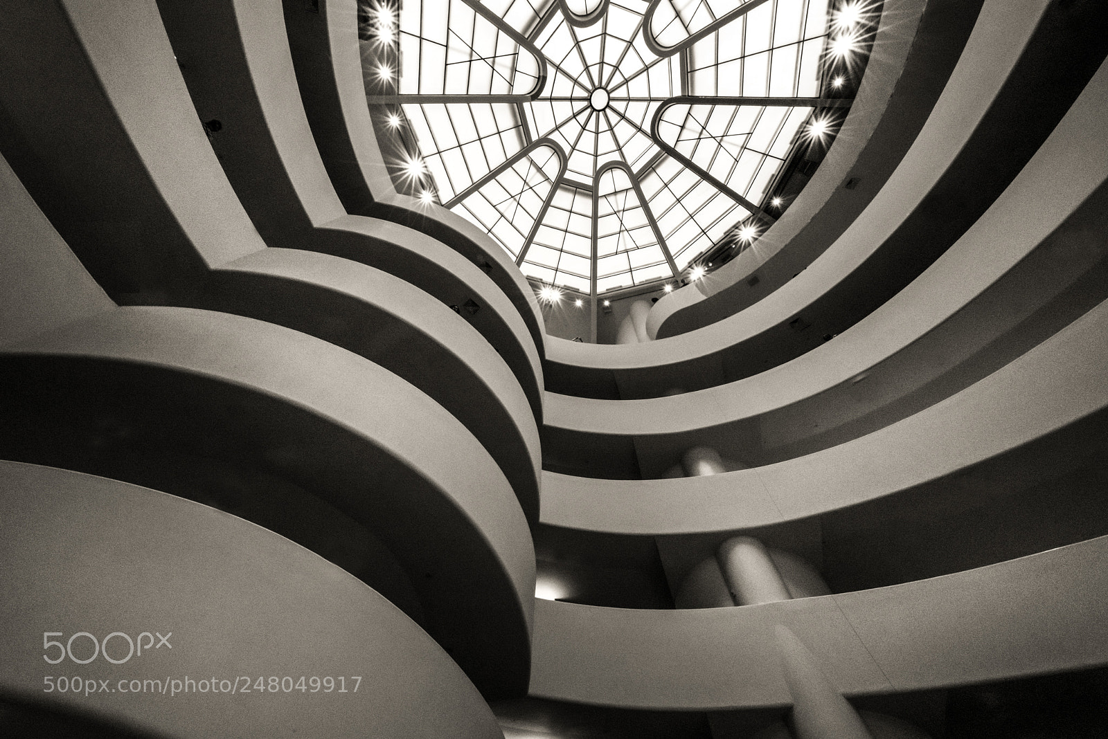 Nikon D800 sample photo. The guggenheim spider photography