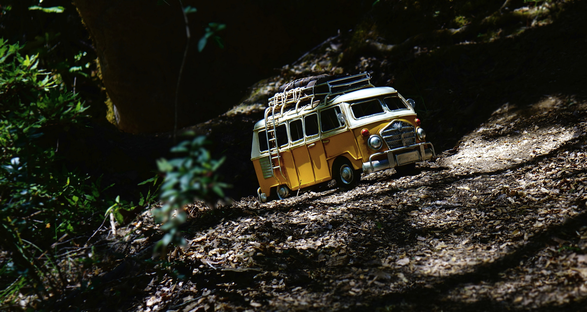 Sony Cyber-shot DSC-RX10 II sample photo. Little world - through the forest ii photography