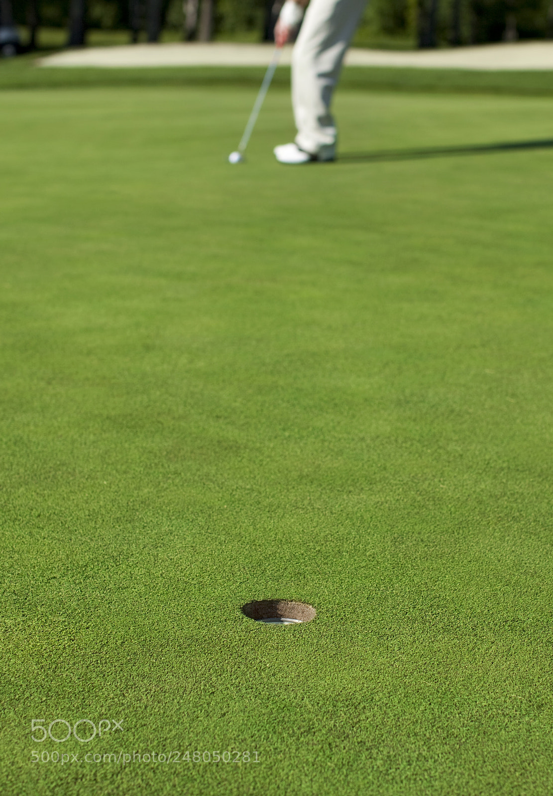 Canon EOS 5D Mark II sample photo. Golfer lines up putt photography