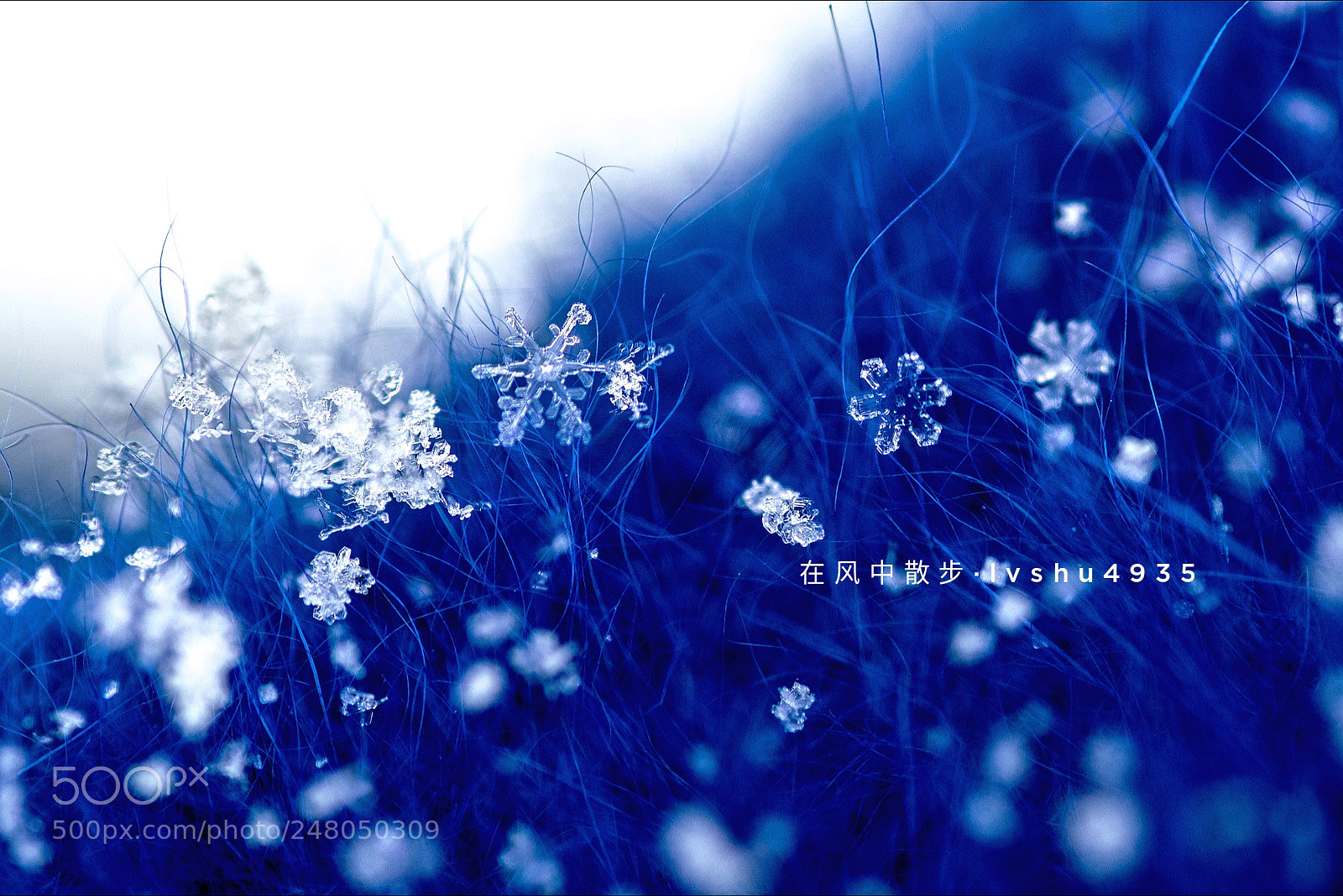 Nikon D800 sample photo. Untitled photography