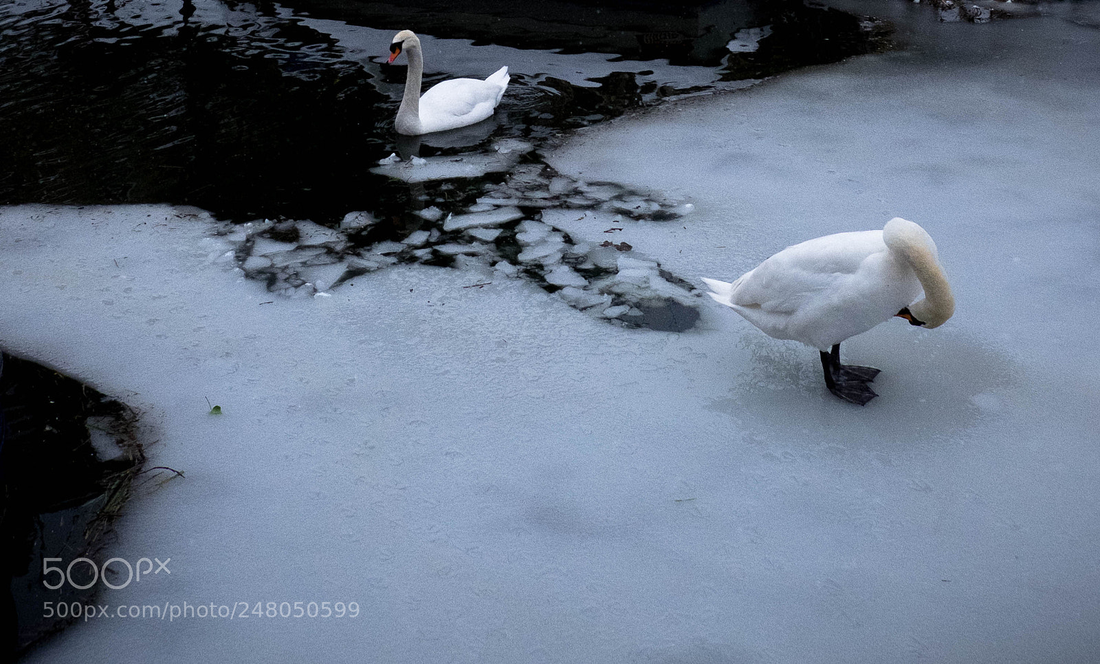 Fujifilm X-T1 sample photo. Frozen canal photography