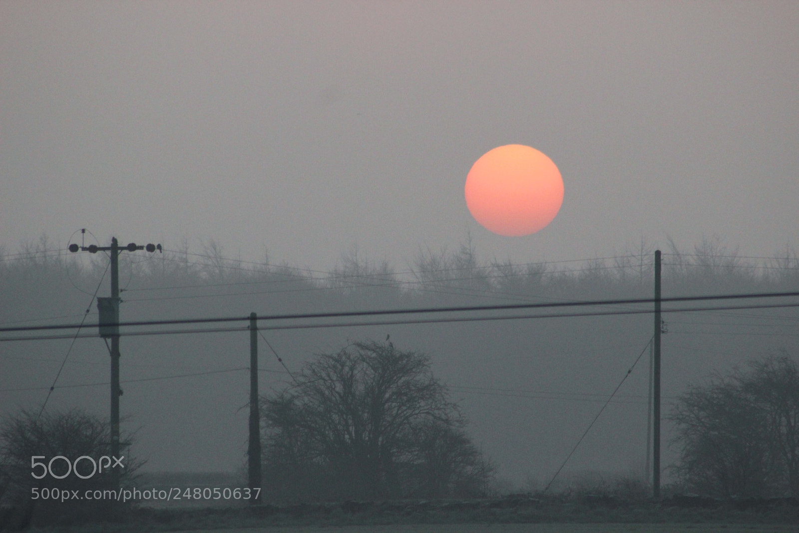 Canon EOS 600D (Rebel EOS T3i / EOS Kiss X5) sample photo. Foggy sun photography
