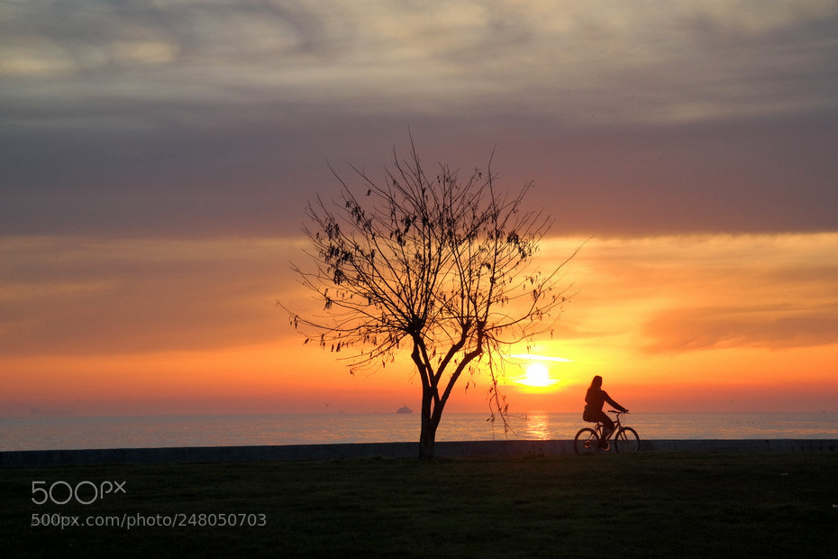 Samsung NX300 sample photo. ... photography