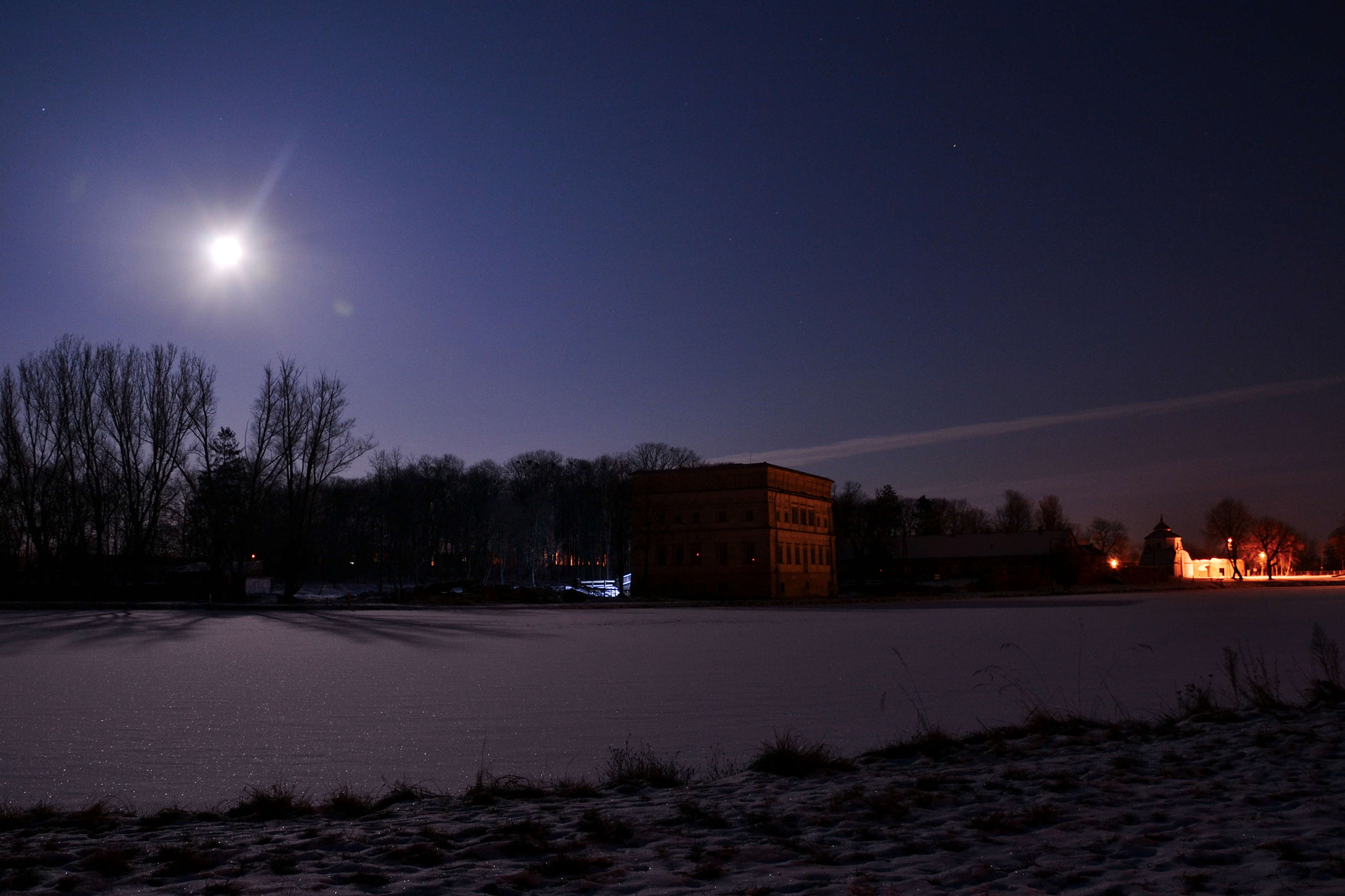 Nikon D3100 sample photo. Frozen pond photography