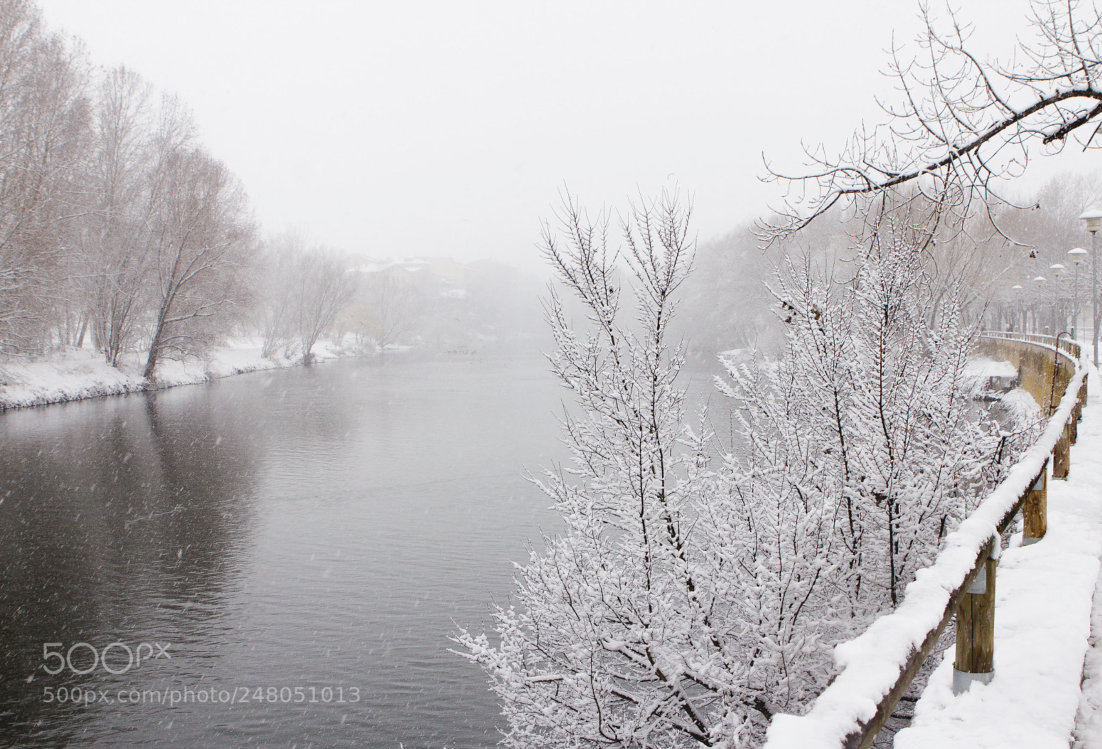 Canon EOS 60D sample photo. Manlleu photography