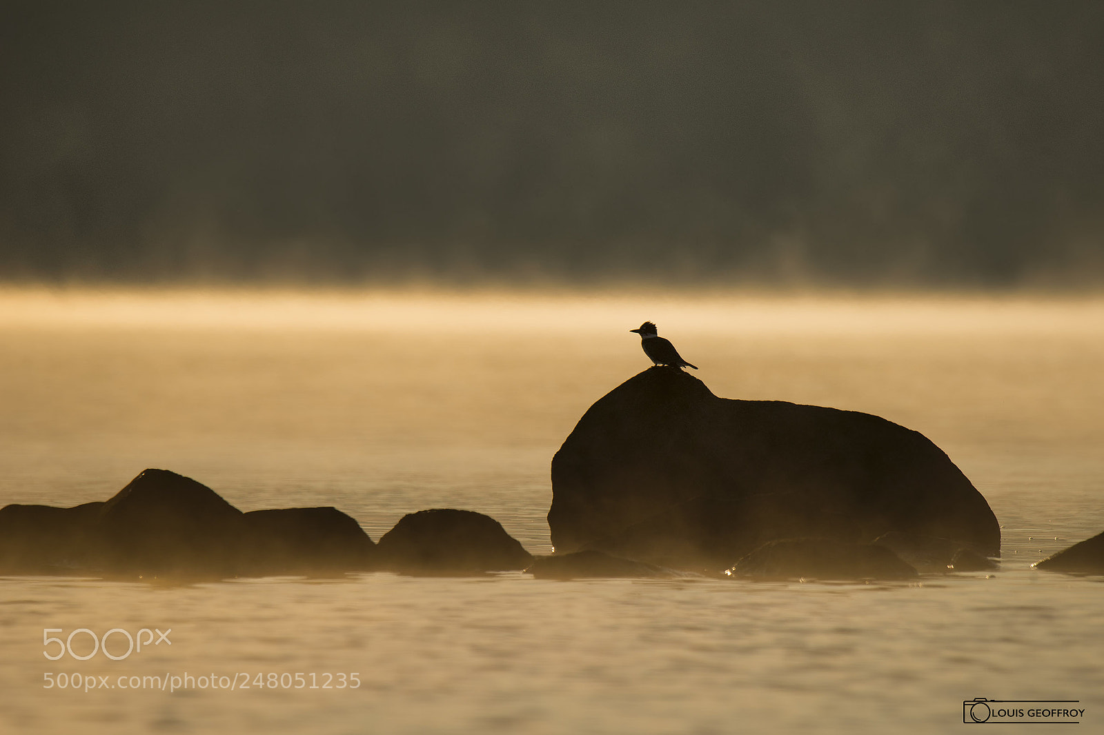 Nikon D810 sample photo. 36741248133.jpg photography