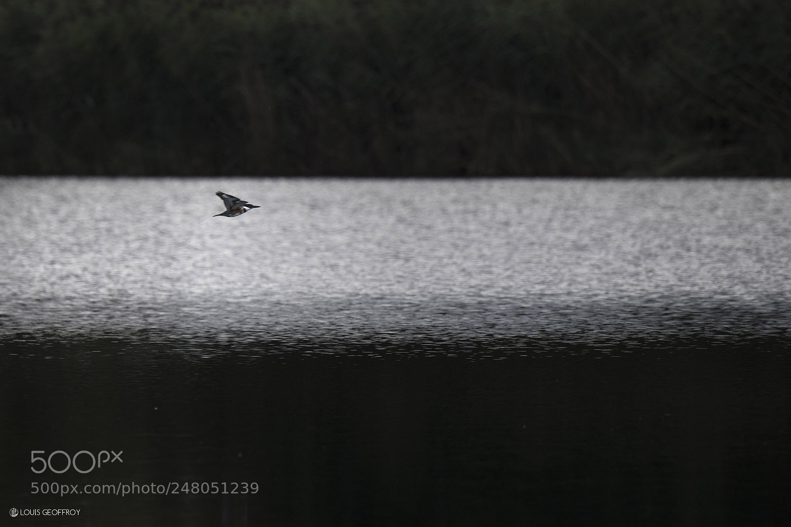 Nikon D850 sample photo. 37548833096.jpg photography
