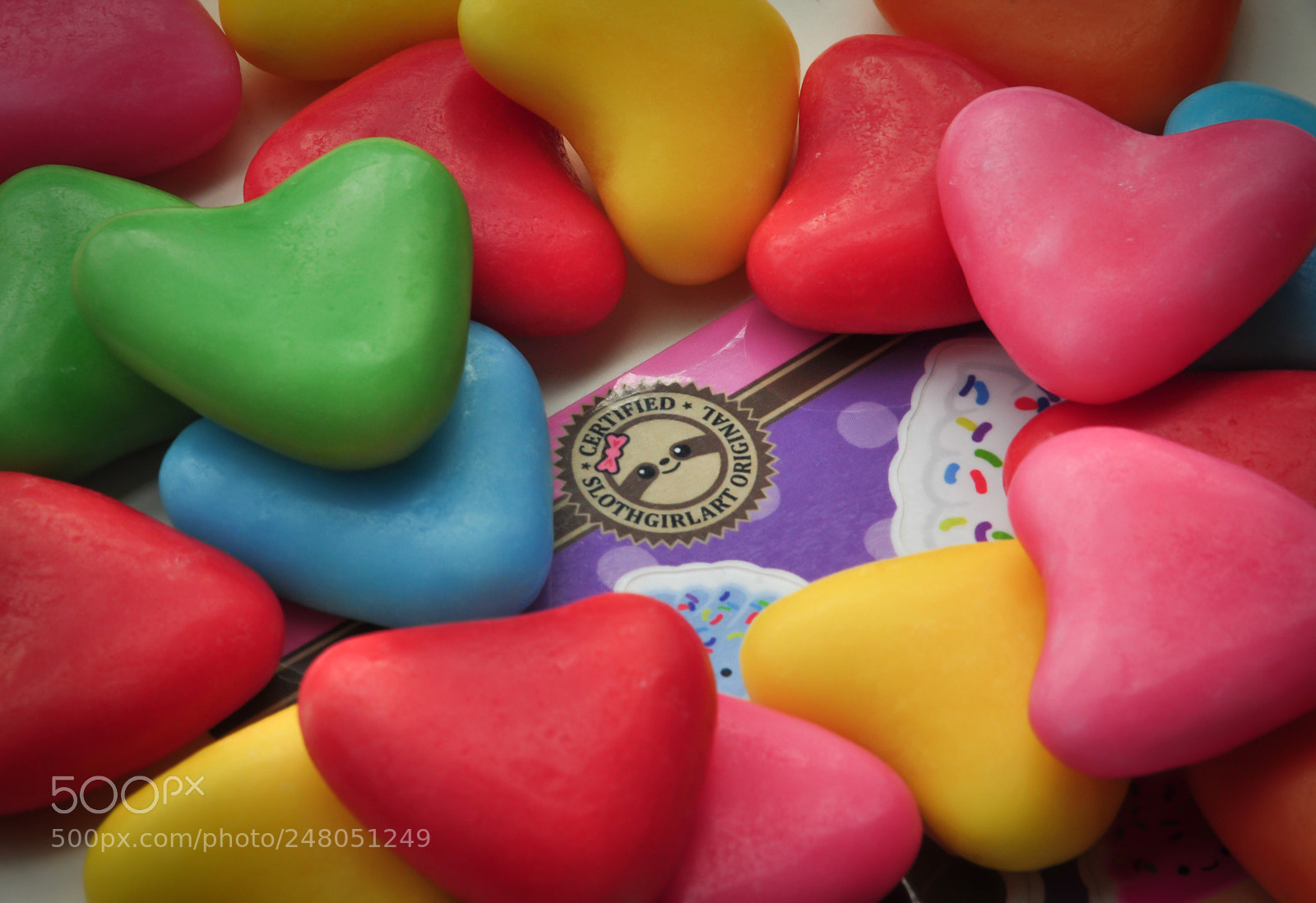 Nikon D90 sample photo. Slothgirlart's logo photography
