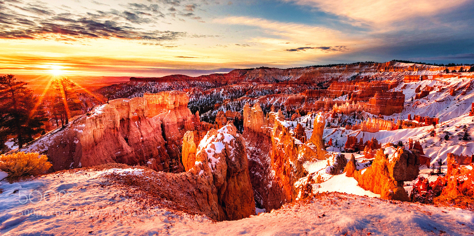Nikon D810 sample photo. Winter wonderland photography