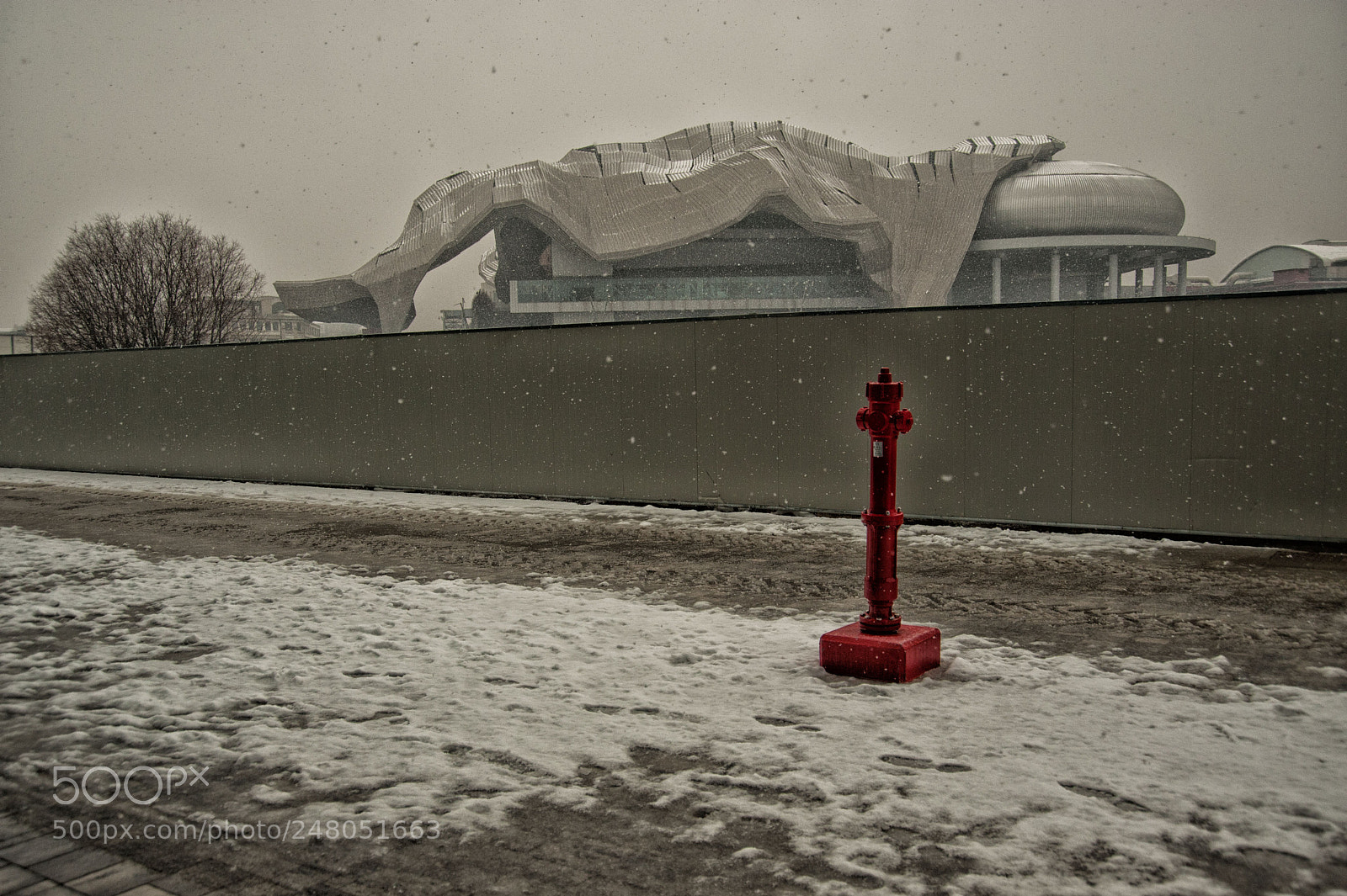 Nikon D700 sample photo. It's snowing photography