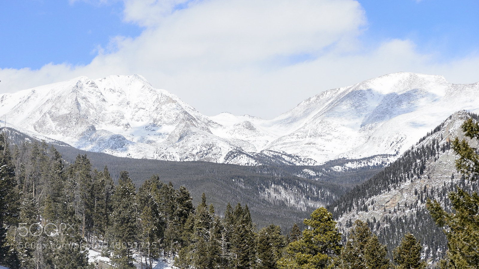 Nikon D4 sample photo. Rocky mountain national park photography