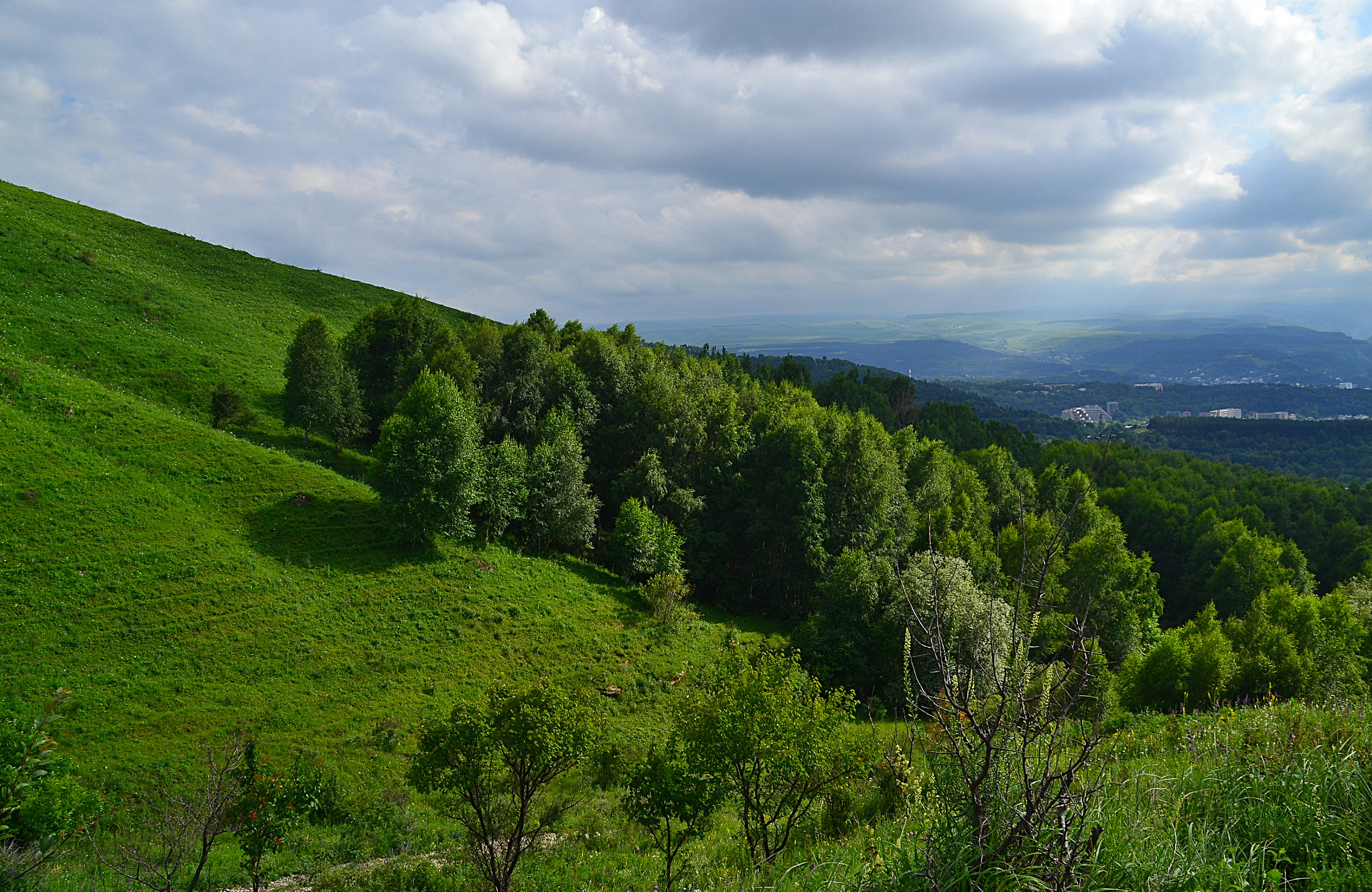 Nikon D3100 sample photo. Climbing forest photography