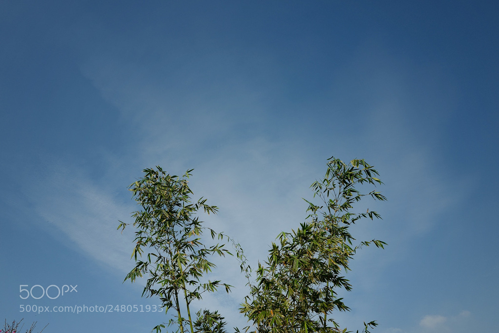 Leica Q (Typ 116) sample photo. 藍天 photography