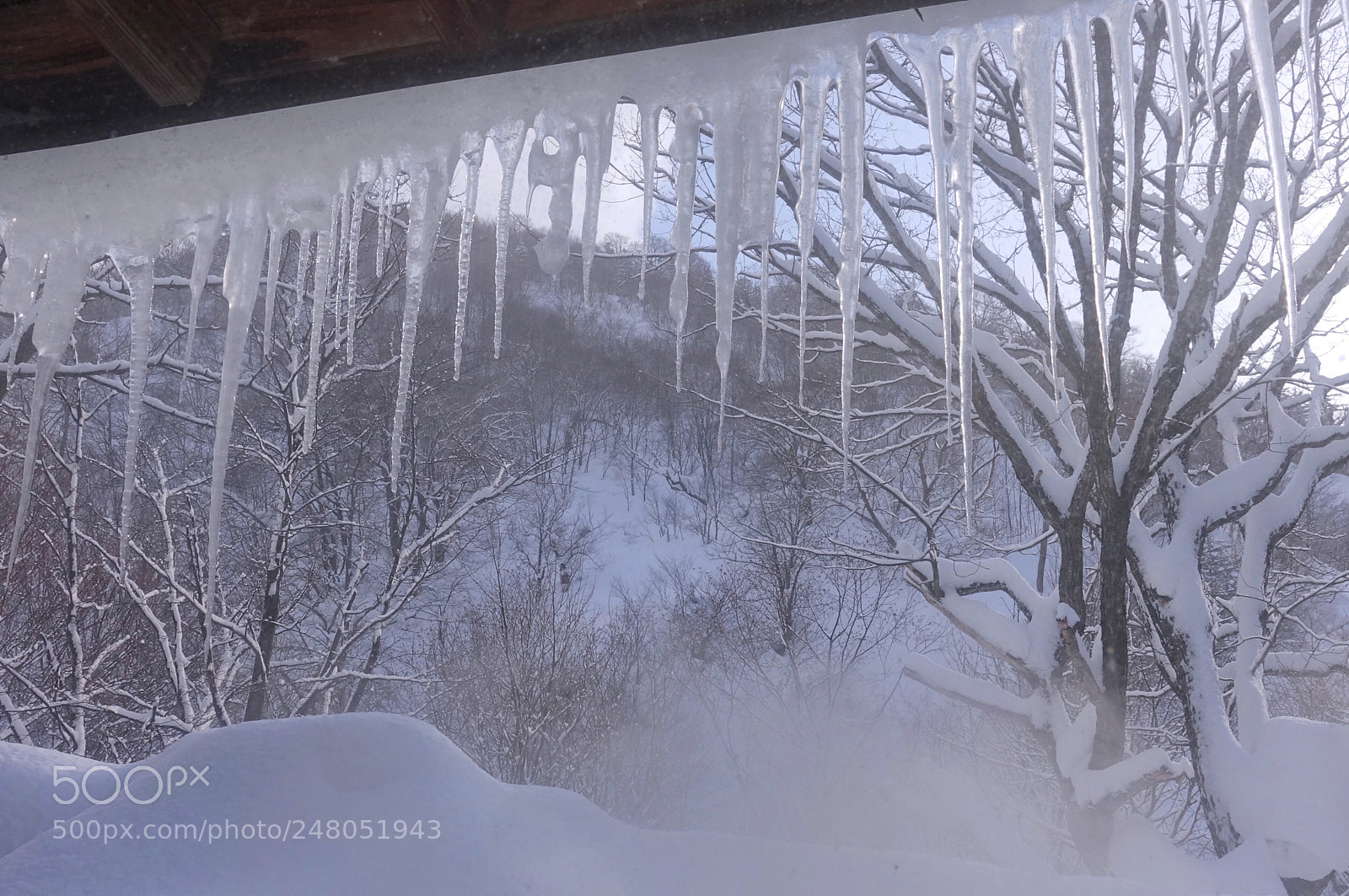 Sony Cyber-shot DSC-RX100 IV sample photo. Icicle photography