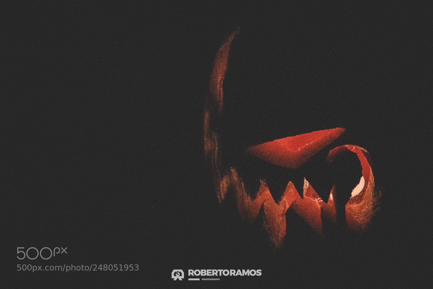 Canon EOS 60D sample photo. Pump'ween photography