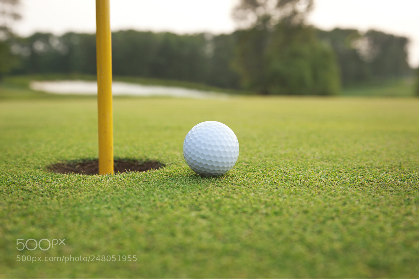 Canon EOS 5D Mark II sample photo. Close up of golf photography