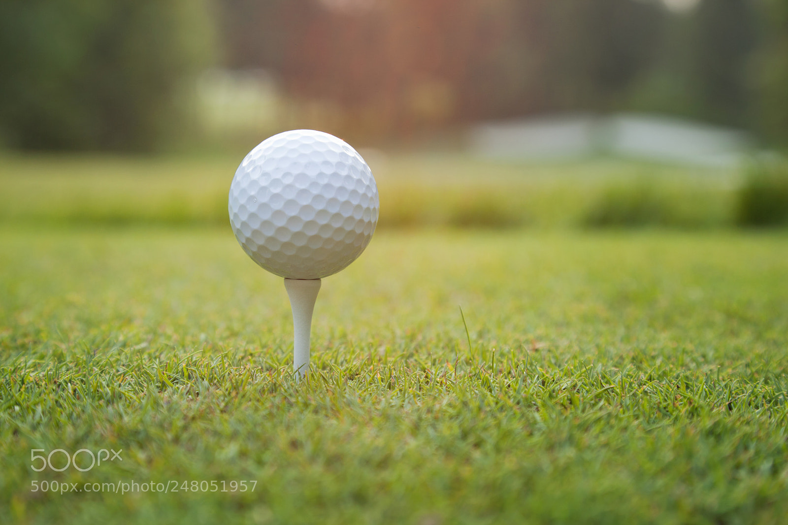 Canon EOS 5D Mark II sample photo. Close up of golf photography