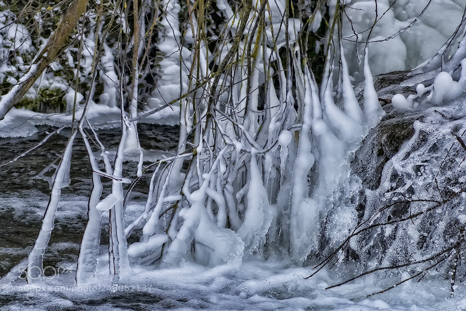 Nikon D810 sample photo. Packed in ice photography