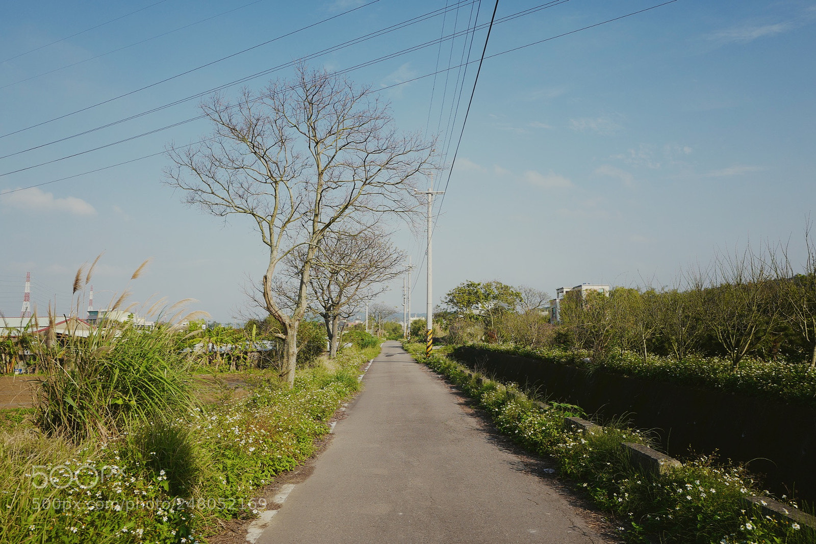 Leica Q (Typ 116) sample photo. 走在鄉間的小路上⋯ photography