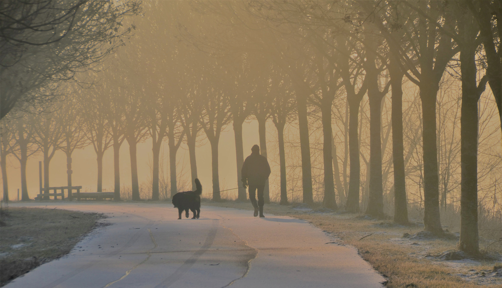 Nikon D7000 sample photo. Cold stroll with the dog photography