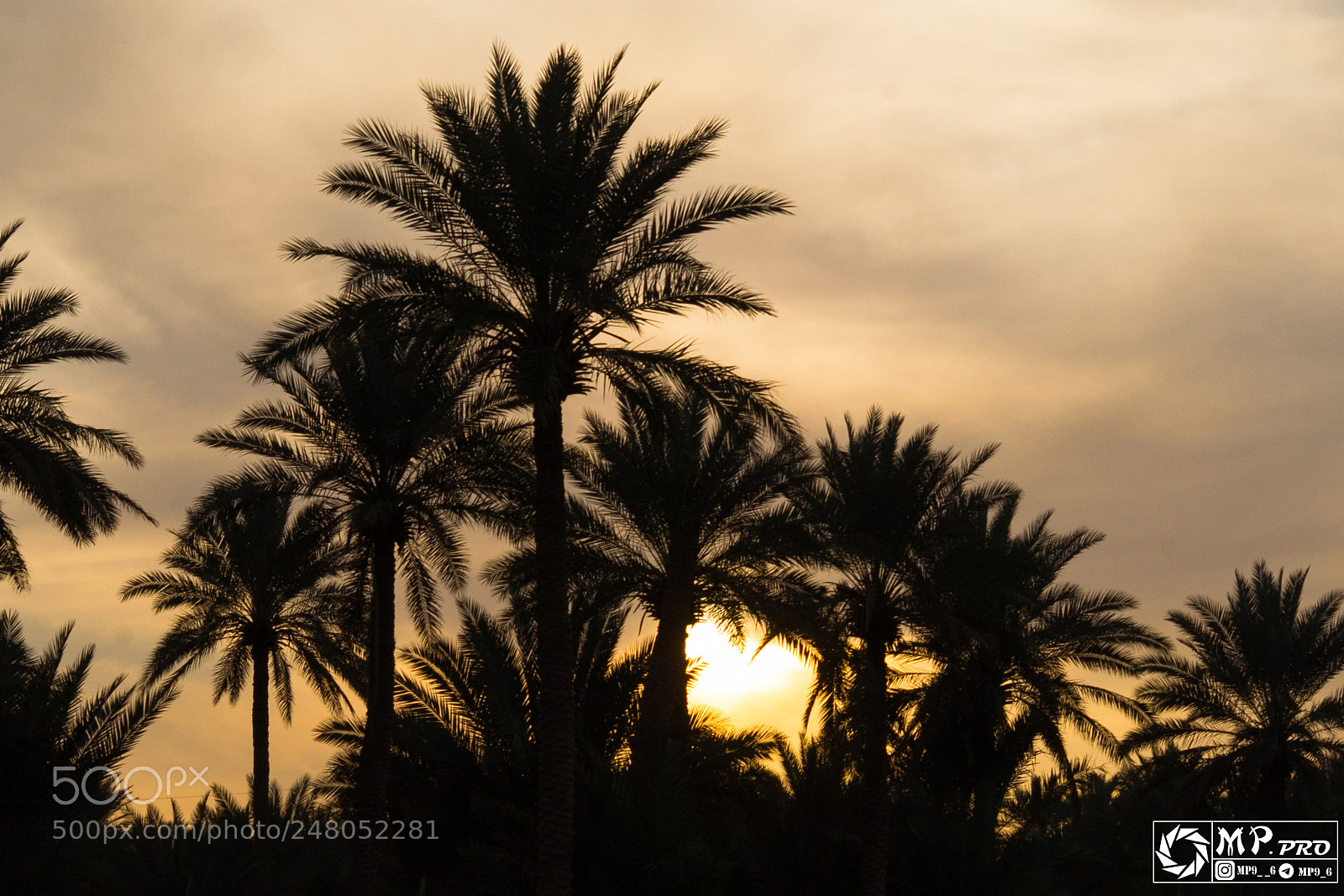 Nikon D3100 sample photo. Sunset photography